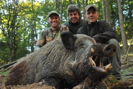 wta_2216_2014_5_Wild Boar_185 kg - 20 cm_Gille B