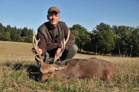 wta_2216_2015_1_ Sika Deer_8 tines_Gold Medal_GillesB.