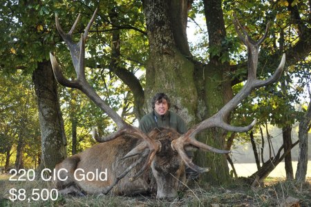 wta_2216_2015_26_Red Stag_220 CIC pts - Gold Medal_Patrick G.
