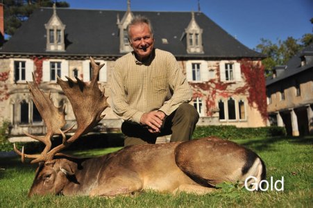 wta_2216_2016_19_Fallow Deer_194 CIC pts - 296 5_8 SCI pts - Gold Medal_Francois D.