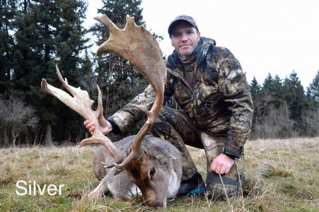 wta_2216_2016_44_Fallow Deer_170 CIC pts - 219 2_8 SCI pts - Silver Medal_Jean C.