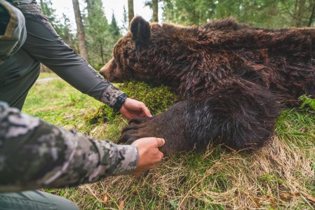 wta_2220_Bear Kill-44