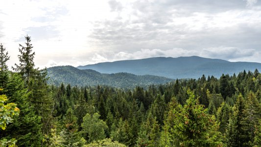 wta_2220_DSC05231