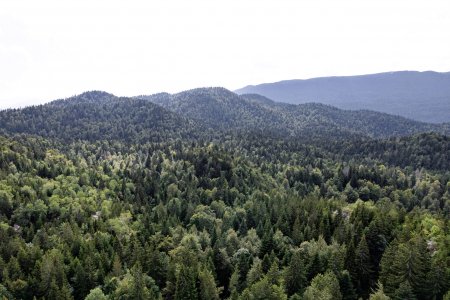 wta_2221_DJI_0094