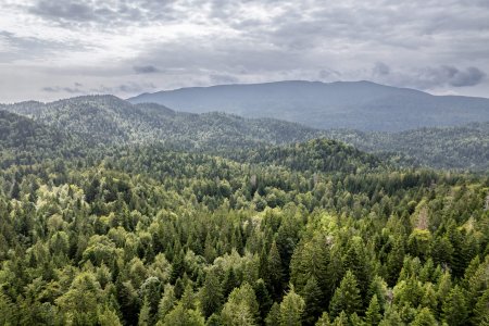 wta_2221_DJI_0096