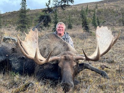 wta_2230_2023 Moose