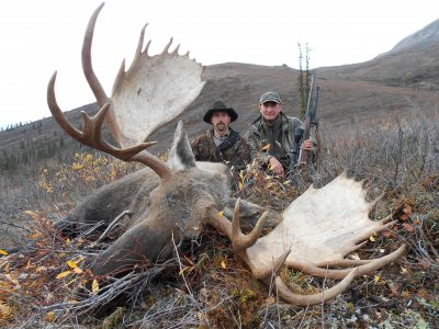 wta_2230_moose