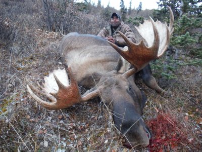 wta_2230_moose2