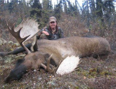 wta_2230_moose3