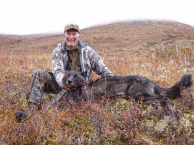 wta_2230_wolf