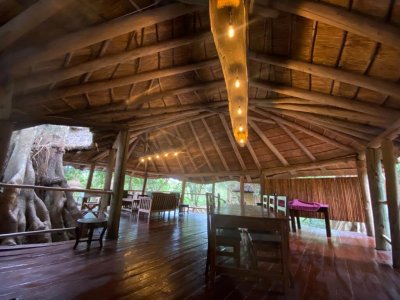 wta_2237_e33748cf-667d-4ca3-ada1-91debcd78311