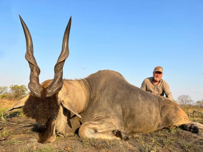 wta_2237_eland