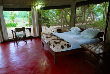 wta_2237_tent-2-scaled