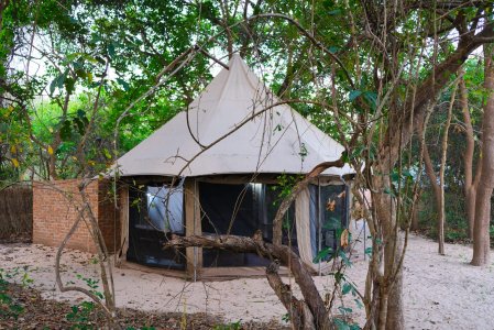 wta_2237_tent-3-scaled