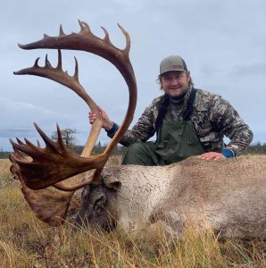 wta_2242_Caribou-2021