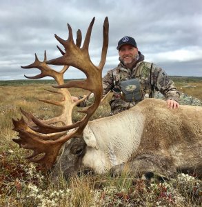 wta_2242_Caribou - Steve