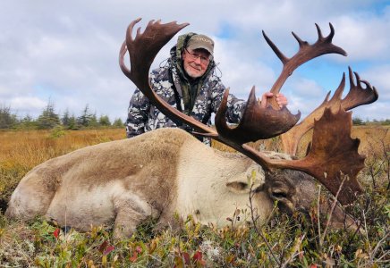 wta_2242_Caribou2-2021