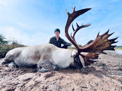 wta_2242_Caribou2-2022