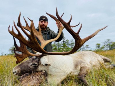 wta_2242_Caribou3-2021