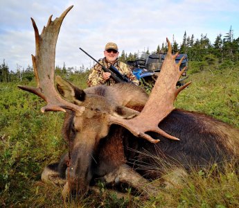 wta_2242_Moose-2022