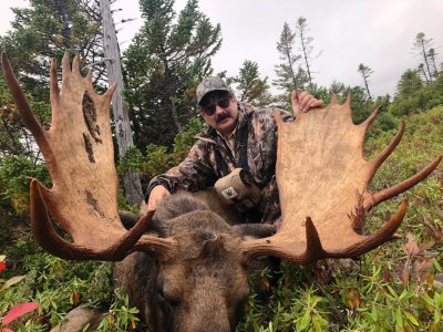 wta_2243_Moose2-2022