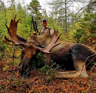 wta_2243_Moose3