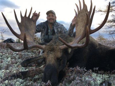 wta_2243_Moose4