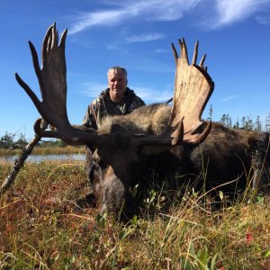 wta_2243_Moose5