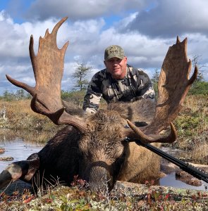 wta_2243_moose-2021