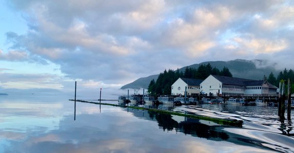 wta_2254_Reflections 1200x628