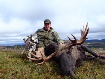 wta_2275_Moose $