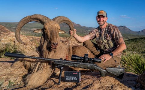wta_2293_Aoudad 1
