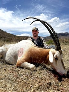 wta_2293_S Oryx