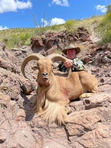 wta_2294_Aoudad 3