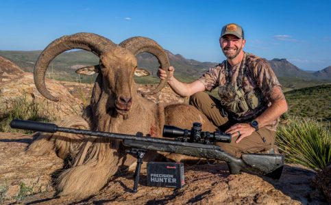 wta_2295_Aoudad 1