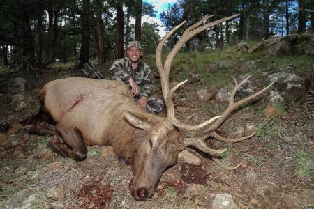 wta_2304_Borderland Elk archery