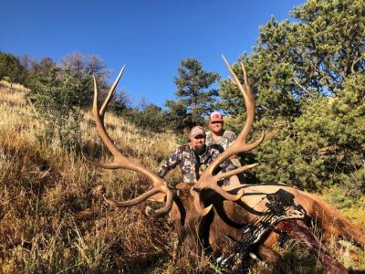 wta_2304_High mountain elk New mexico1