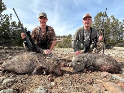 AZ Javelina