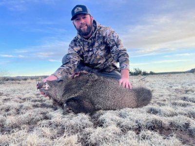 AZ Javelina