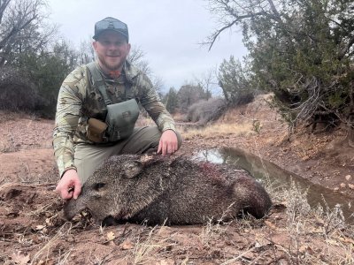 AZ Javelina