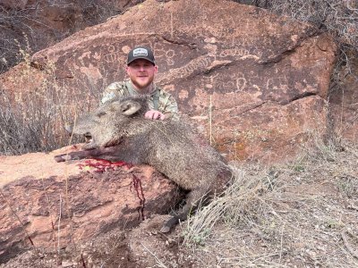 AZ Javelina