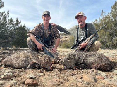 AZ Javelina