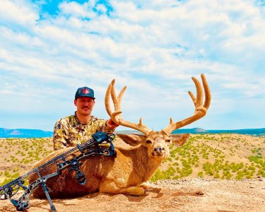 wta_2310_BC archery deer Aug (17A)