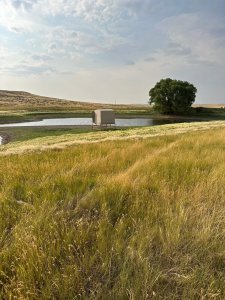 wta_2313_IMG_4380