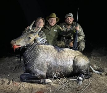 wta_2319_SR Nilgai
