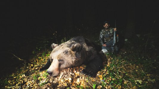 wta_2343_Bear Kill-4