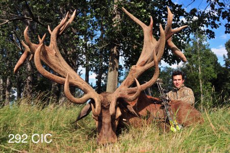wta_2344_2011_1_Red stag_292-CIC-pts-Gold Medal-35 tines_Johan H