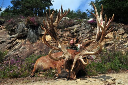 wta_2344_2011_2_Red stag_263-CIC-pts-32 tines-Gold Medal_Christine G