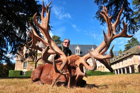 wta_2344_2011_6_Red stag_274-CIC-pts-477-SCI-pts-41 tines-Gold Medal_Martial S
