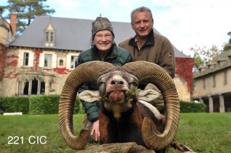 wta_2344_2013_27_Mouflon_221 CIC pts - 88 cm - Gold Medal_Arlene H.